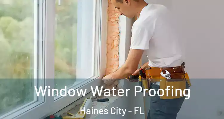  Window Water Proofing Haines City - FL