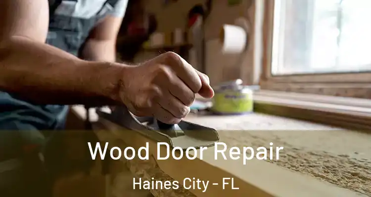  Wood Door Repair Haines City - FL